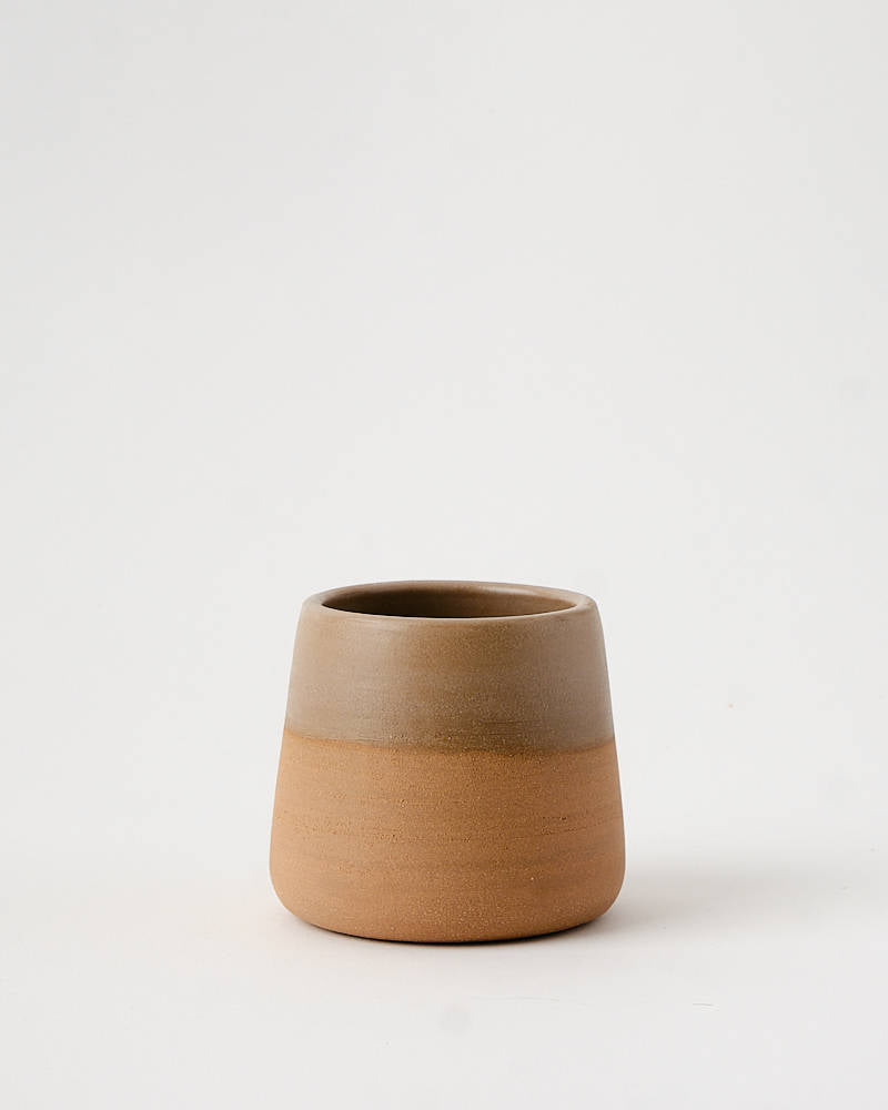 TAZZA Terra